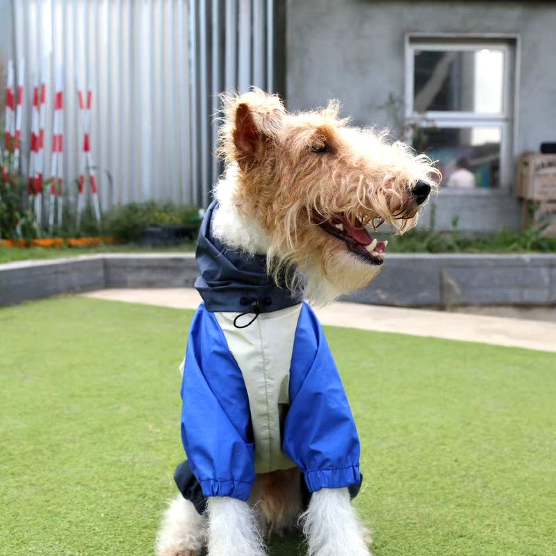 2026年6月19日〜21日 インターペット大阪2026 出展のお知らせ